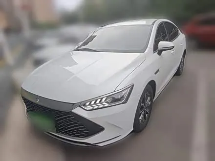 BYD QIN PLUS 2024