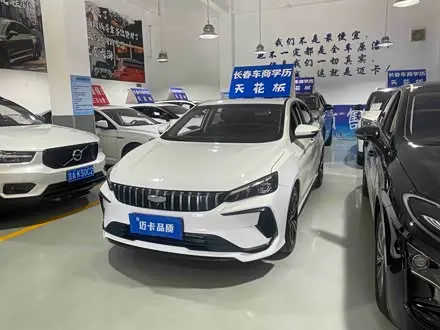 GEELY BINRUI 2024