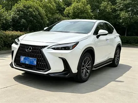 LEXUS NX 2022 — 40 000 км, Китай — под ключ — фото 1