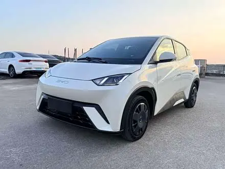 BYD SEAGULL 2024