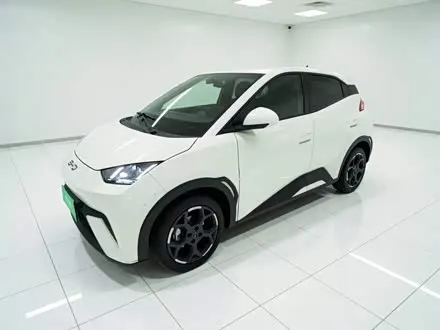 BYD SEAGULL 2024