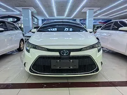 TOYOTA LEVIN 2023