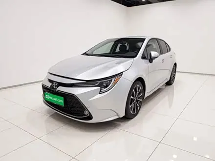 TOYOTA LEVIN 2019