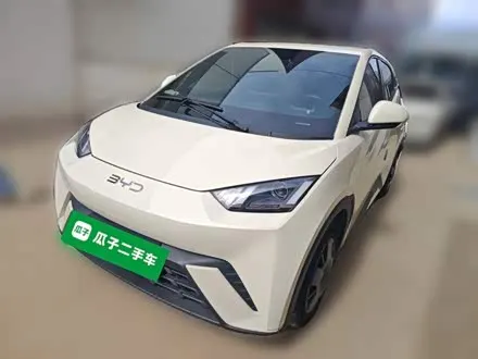BYD SEAGULL 2025
