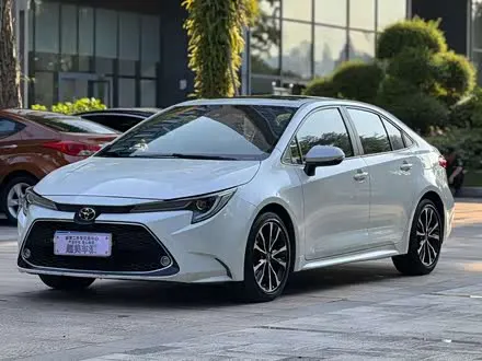 TOYOTA LEVIN 2019