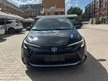 TOYOTA LEVIN 2023