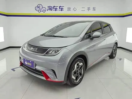 BYD DOLPHIN 2021