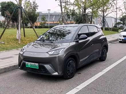 BYD SEAGULL 2024