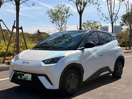 BYD SEAGULL 2024