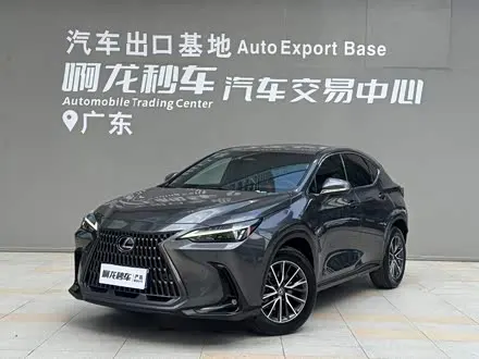 LEXUS NX — из Китая под ключ