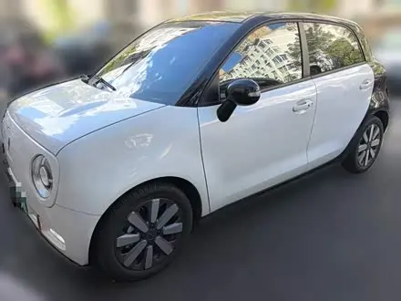 ORA BLACK CAT 2021