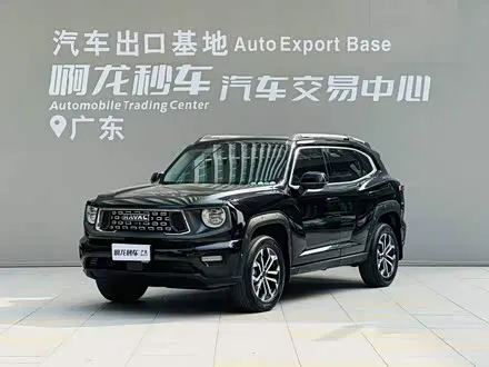 HAVAL DARGO PLUS — из Китая под ключ