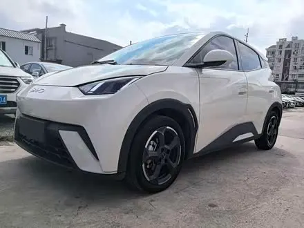 BYD SEAGULL — из Китая под ключ