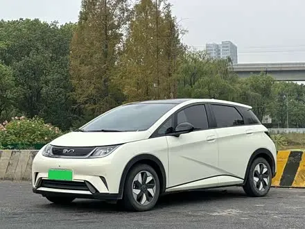 BYD DOLPHIN — из Китая под ключ
