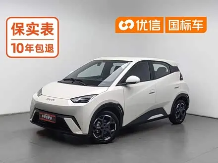 BYD SEAGULL — из Китая под ключ