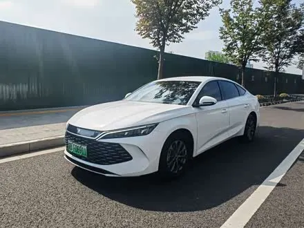 BYD QIN L 2024
