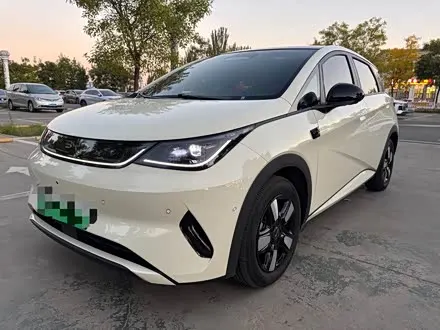 BYD DOLPHIN — из Китая под ключ