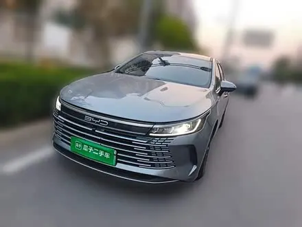 BYD DESTROYER 05 2024