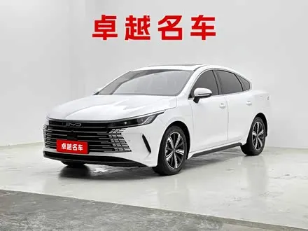 BYD DESTROYER 05 2022