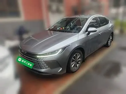 BYD DESTROYER 05 2024