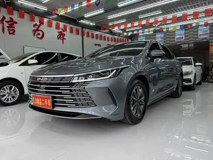 BYD DESTROYER 05 2024