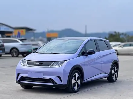 BYD DOLPHIN — из Китая под ключ