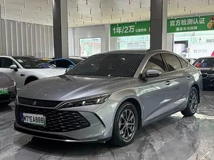 BYD QIN L 2024
