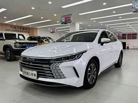 BYD DESTROYER 05 2024