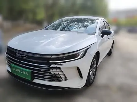 BYD DESTROYER 05 2024