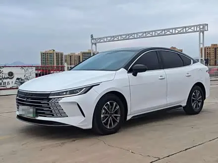 BYD DESTROYER 05 2024