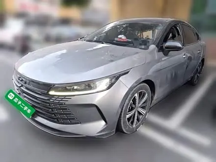 BYD DESTROYER 05 2022