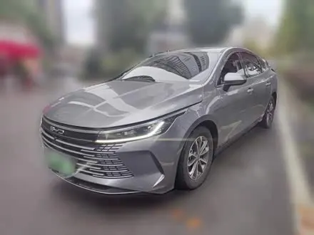 BYD DESTROYER 05 2024