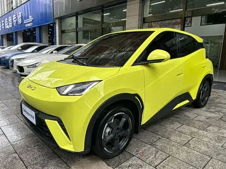 BYD SEAGULL — из Китая под ключ