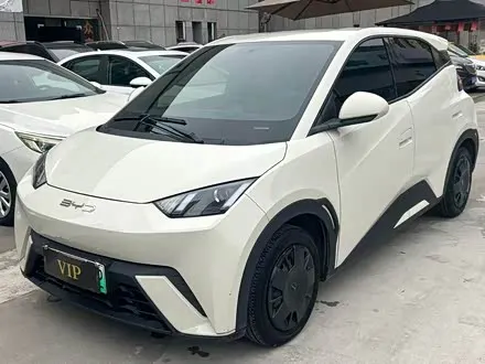 BYD SEAGULL — из Китая под ключ