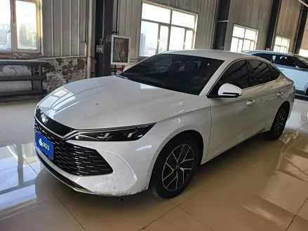 BYD QIN L 2024