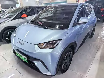 BYD SEAGULL — из Китая под ключ