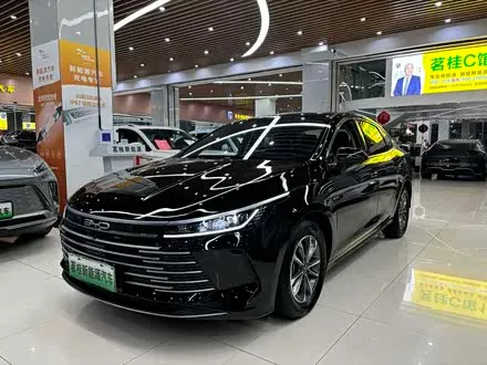 BYD DESTROYER 05 2024