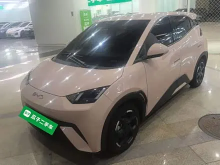BYD SEAGULL 2024