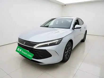 BYD QIN L 2024