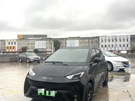 BYD SEAGULL 2024