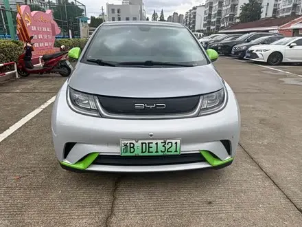 BYD DOLPHIN — из Китая под ключ
