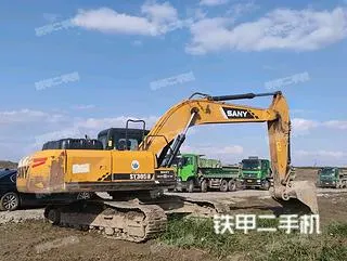 SANY SY245H — из Китая под ключ