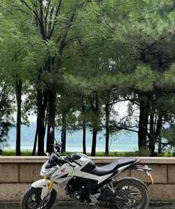 SUNDIRO-HONDA CBF190R — из Китая