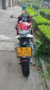 ZONGSHEN GPR250R — из Китая