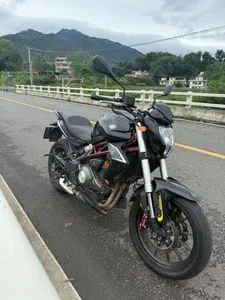 BENELLI BN 302 — из Китая