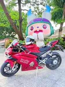 500RR — из Китая