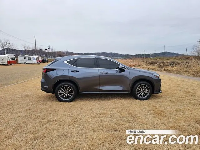LEXUS NX450H+ 2024 — 23 572 км, серый, Корея — под ключ — фото 8