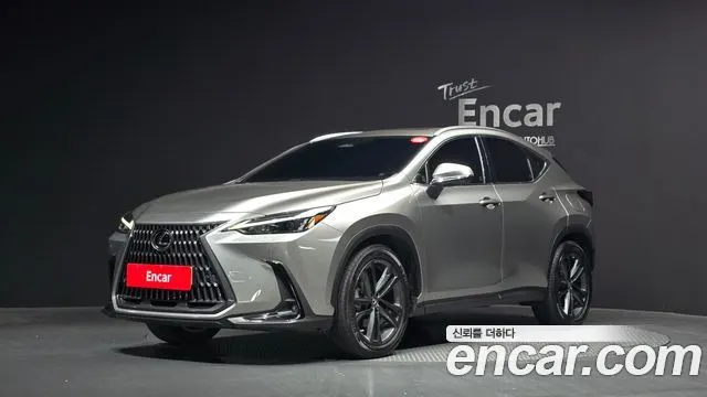 LEXUS NX350H 2023