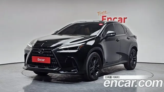 LEXUS NX350H 2024