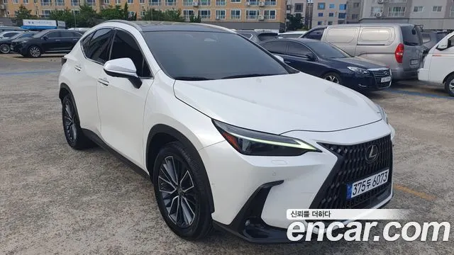 LEXUS NX350H 2023
